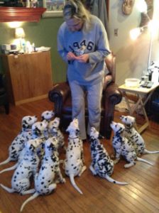 Karen Rowan stands with 10 dalmatian puppies looking up at her.